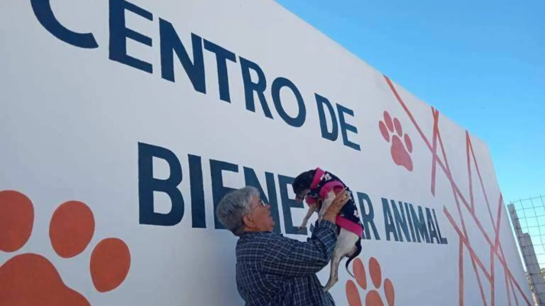 PERRITOS... FOTO ROSY REYES